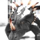 dinoett