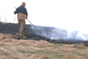Gräsbrand 20100526