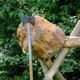 image066