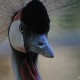 dsc_0074 dsc_0074