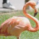 dsc_0112 dsc_0112