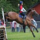 dsc_0595 dsc_0595