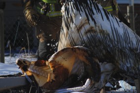 Lägenhetsbrand på Poesigatan