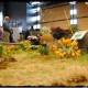 dsc_0015 dsc_0015