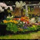dsc_00171 dsc_00171