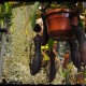 dsc_0033 dsc_0033