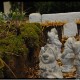 dsc_0044 dsc_0044