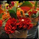 dsc_0108 dsc_0108