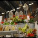 dsc_0190 dsc_0190