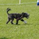 dsc_0081 dsc_0081
