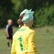 dsc_0091 dsc_0091