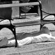 dsc_0133 dsc_0133