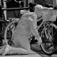 dsc_0203 dsc_0203