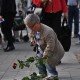 dsc_0315 dsc_0315