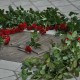 dsc_0372 dsc_0372