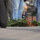 dsc_0414 dsc_0414