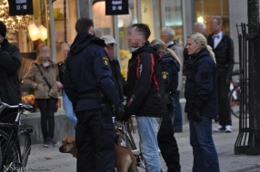 Flicka biten av hund